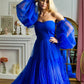 Royal blue tulle dress for Photoshoot