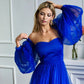 Royal blue tulle dress for Photoshoot