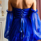 Royal blue tulle dress for Photoshoot