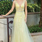 V Neck Prom Ball Gown with Sheer Bodice VMP71