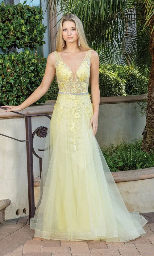 V Neck Prom Ball Gown with Sheer Bodice VMP71