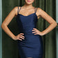 Lace Up Back Short Tight Homecoming Dress VMH12